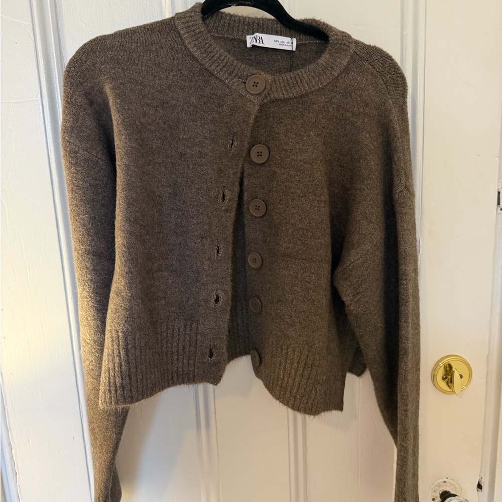 Zara Brown Button-Up Cardigan